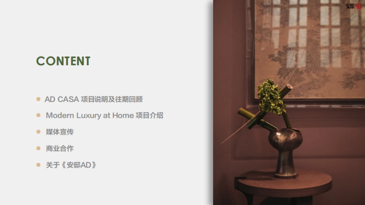 2021 AD Casa general proposal 0201_第2页