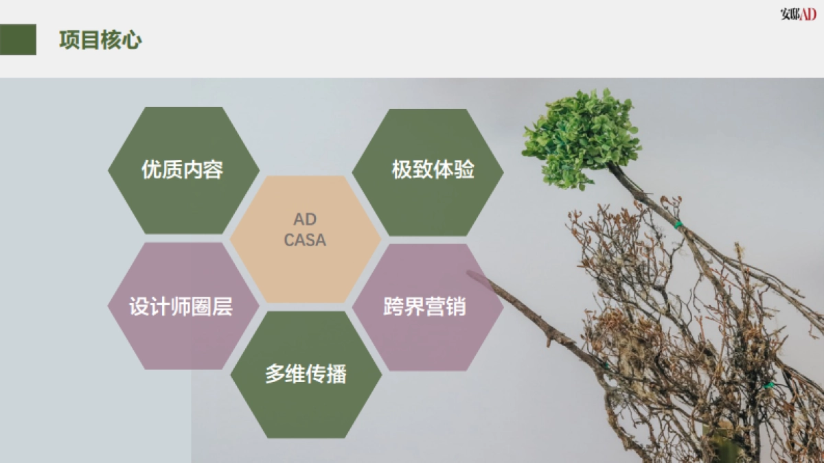 2021 AD Casa general proposal 0201_第5页