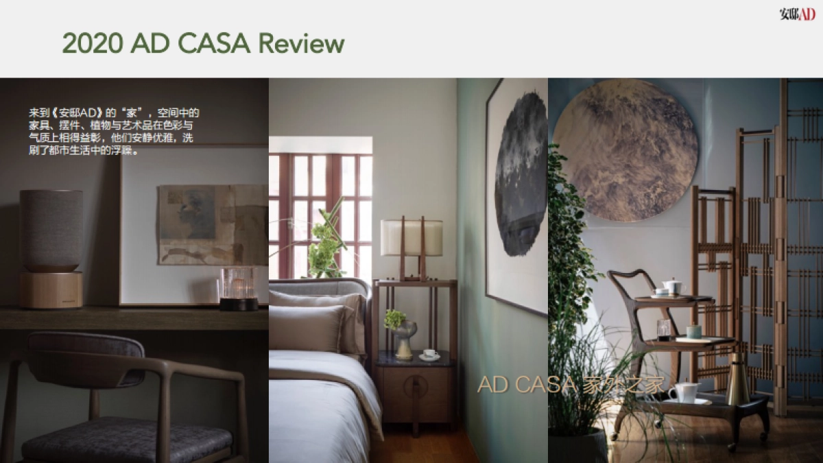 2021 AD Casa general proposal 0201_第9页