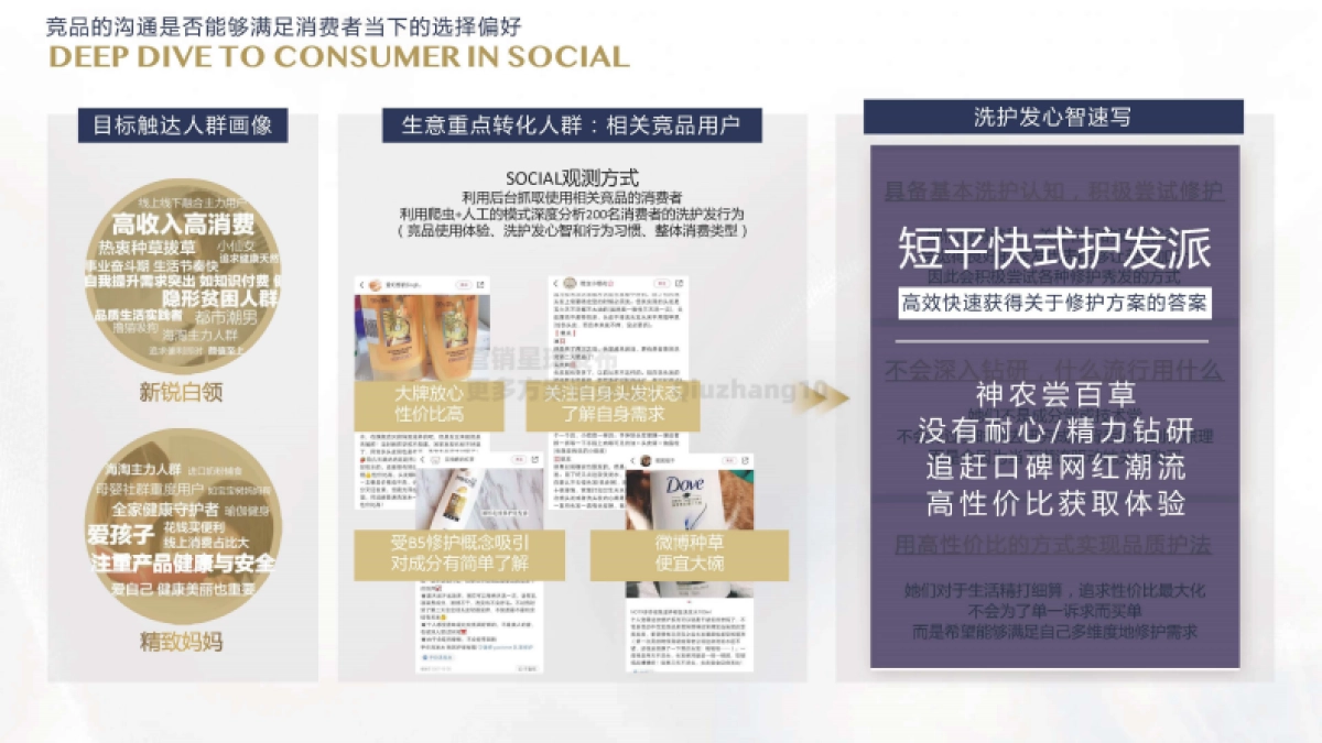 2021 Dove Core Relaunch Campaign Proposal_第10页