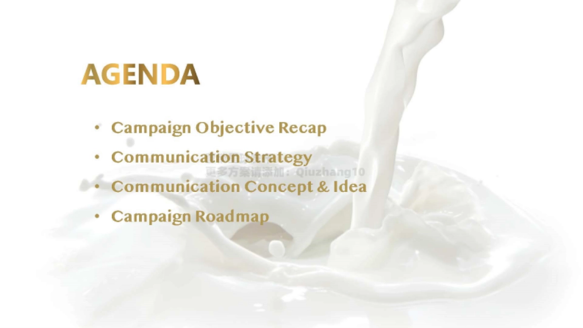 2021 Dove Core Relaunch Campaign Proposal_第2页