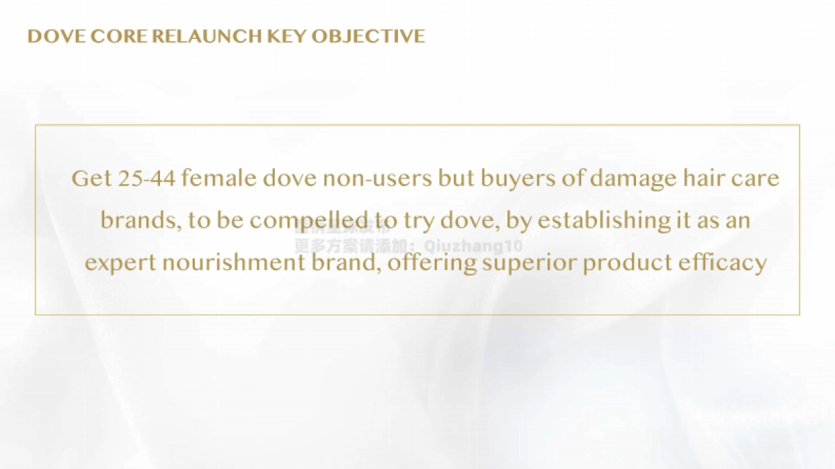 2021 Dove Core Relaunch Campaign Proposal_第3页