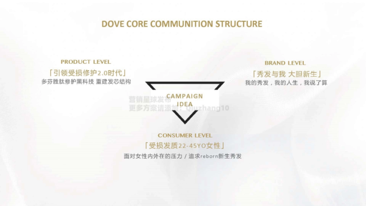 2021 Dove Core Relaunch Campaign Proposal_第4页