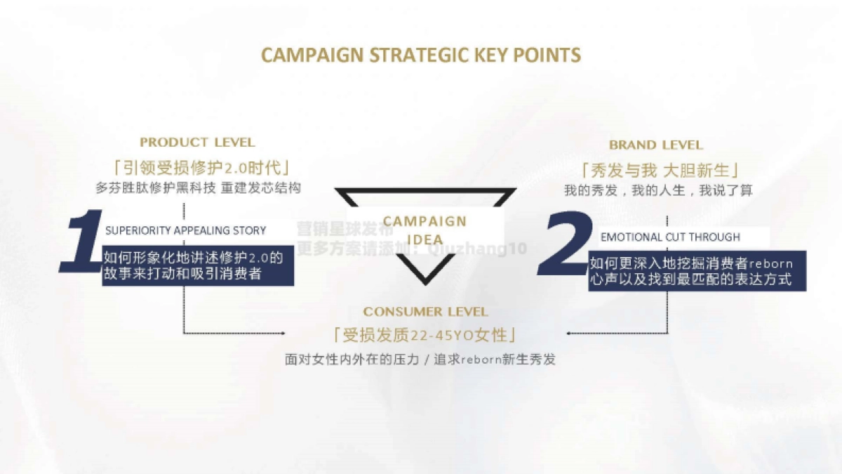 2021 Dove Core Relaunch Campaign Proposal_第5页