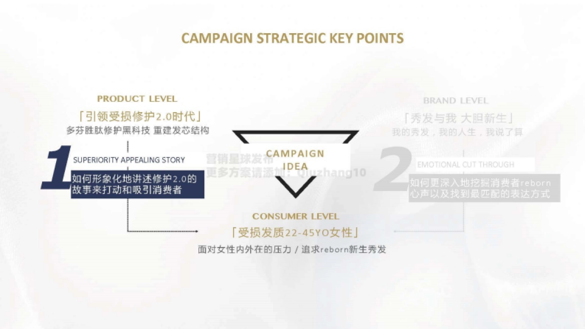 2021 Dove Core Relaunch Campaign Proposal_第6页