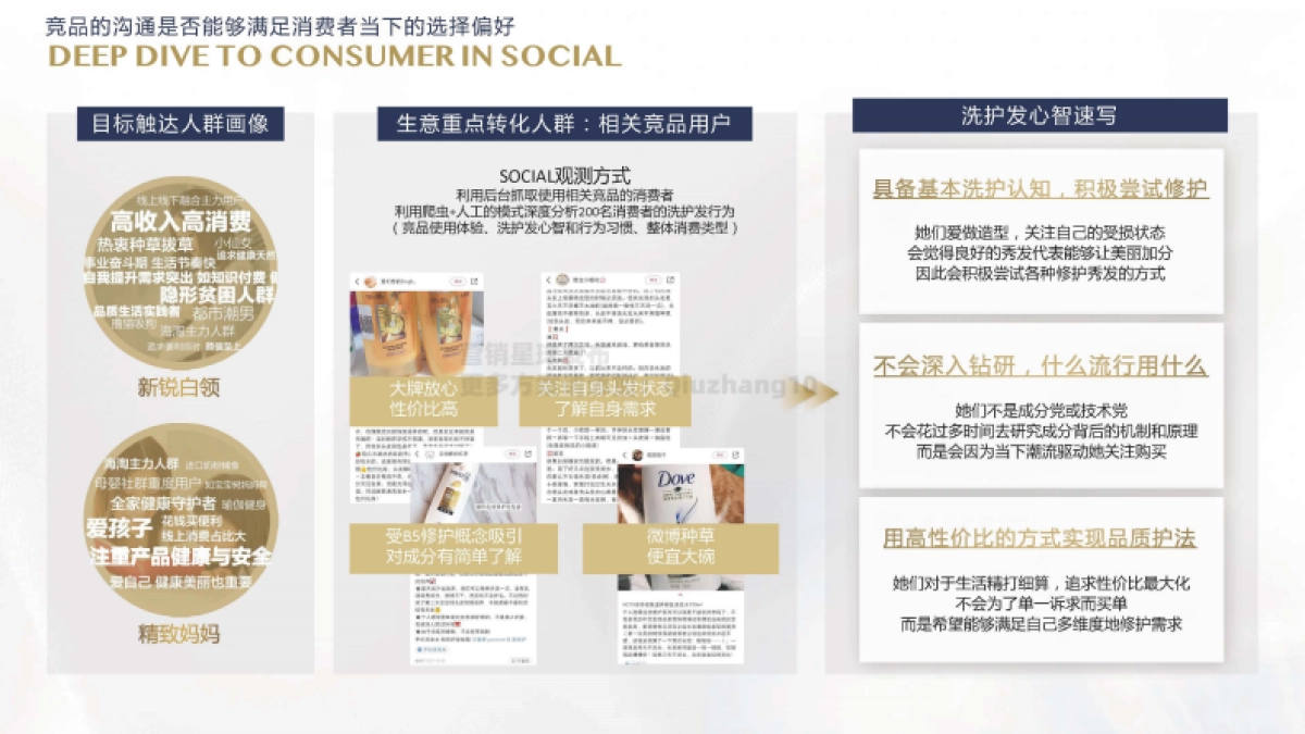 2021 Dove Core Relaunch Campaign Proposal_第9页