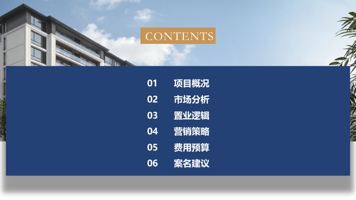 2021蓝城李典项目营销思路报告&预算-142P_第2页