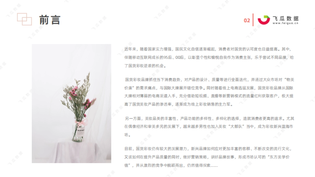 2021年国货彩妆品牌推广营销趋势-飞瓜数据_第2页