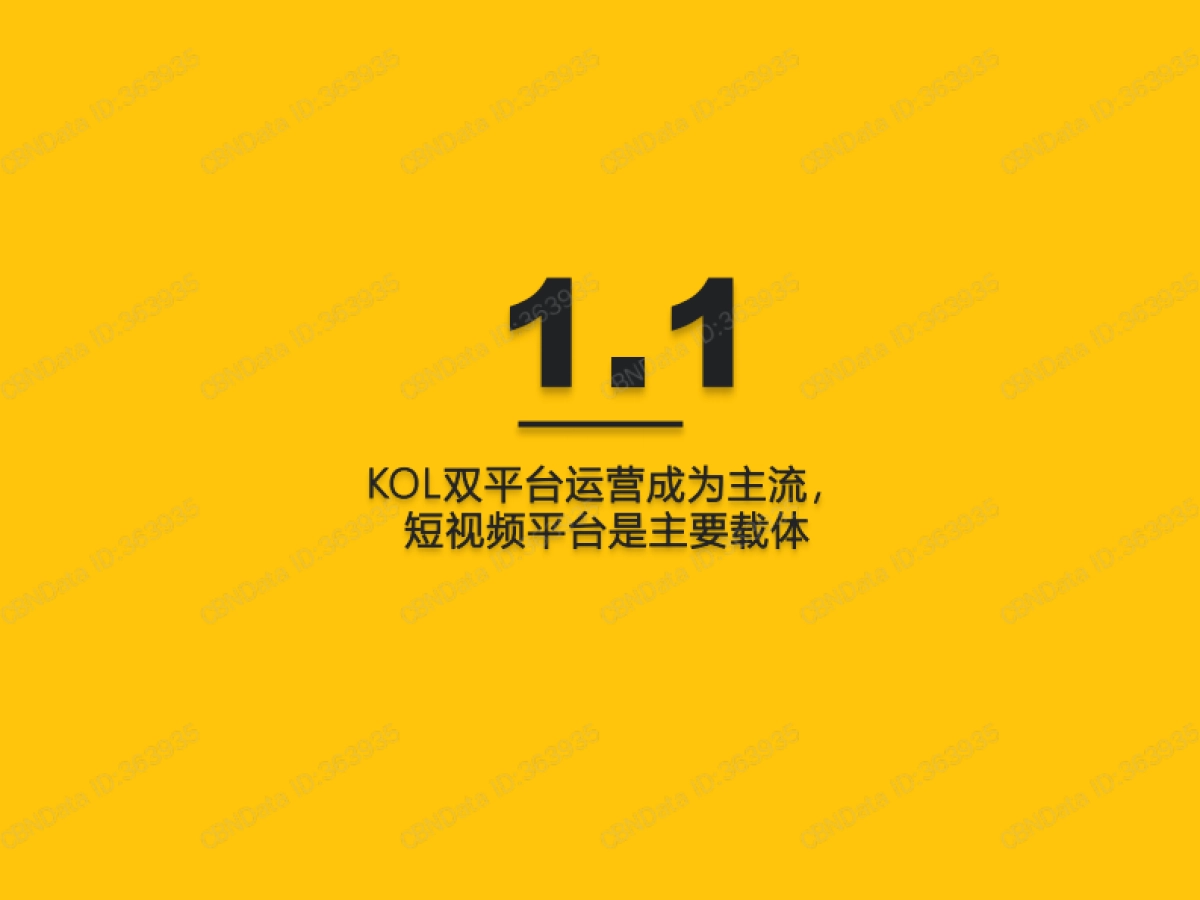 2021年跨平台KOL生态研究报告_第5页
