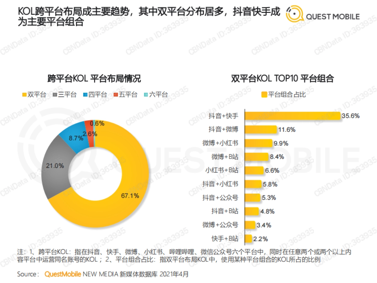 2021年跨平台KOL生态研究报告_第6页