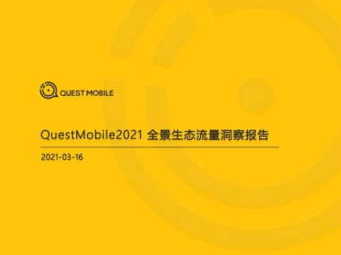 2021全景生态流量洞察报告-QuestMobile