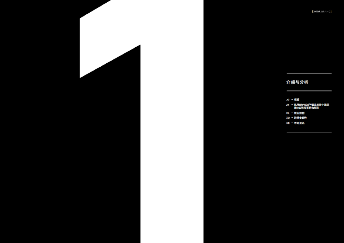 2021中国品牌100强报告-凯度BrandZ™_第10页