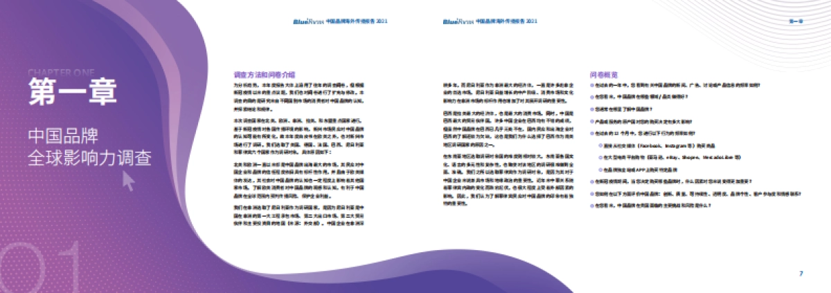 2021中国品牌海外传播报告_第4页