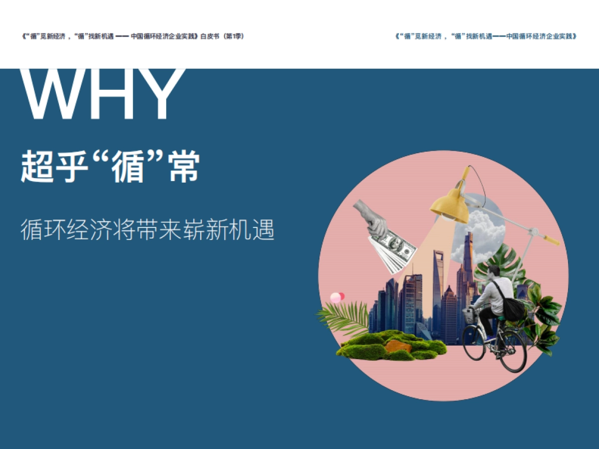 2021中国循环经济企业实践白皮书(第1季)-循环派-34页_第5页