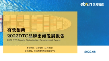 2022DTC品牌出海发展报告