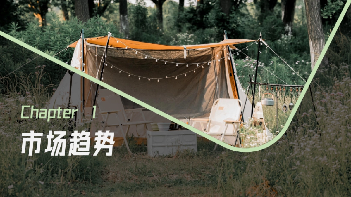 2022精致露营市场洞察_第4页