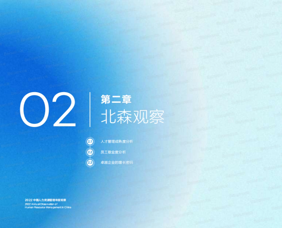 2022中国人力资源管理年度观察（人才管理成熟度调查报告及敬业度报告）-北森_第10页