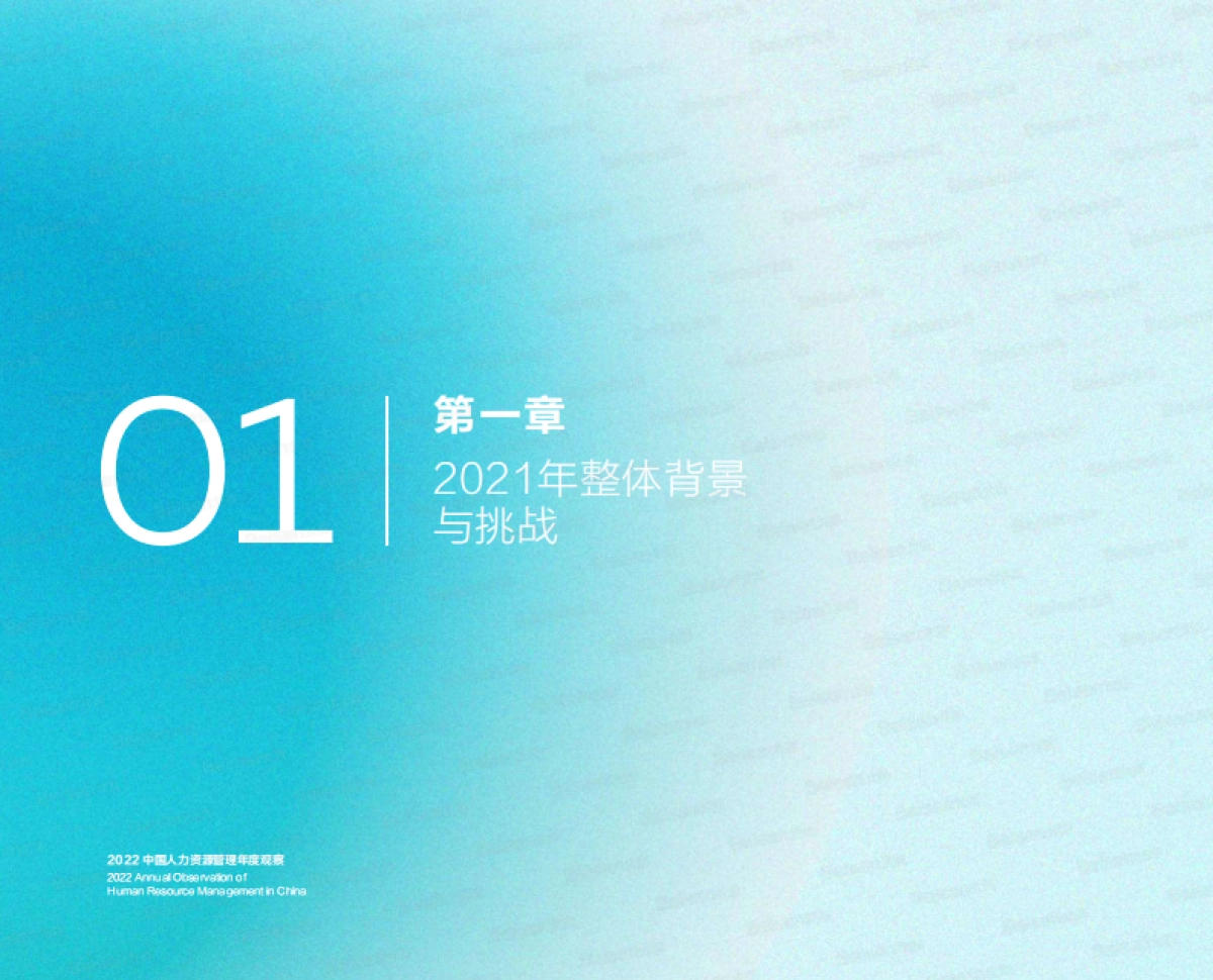 2022中国人力资源管理年度观察（人才管理成熟度调查报告及敬业度报告）-北森_第5页