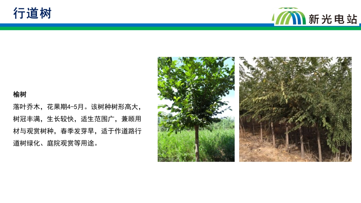 2023昌吉立新光电站规划参观路线规划案_第7页