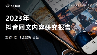 2023年抖音图文内容研究报告-飞瓜数据