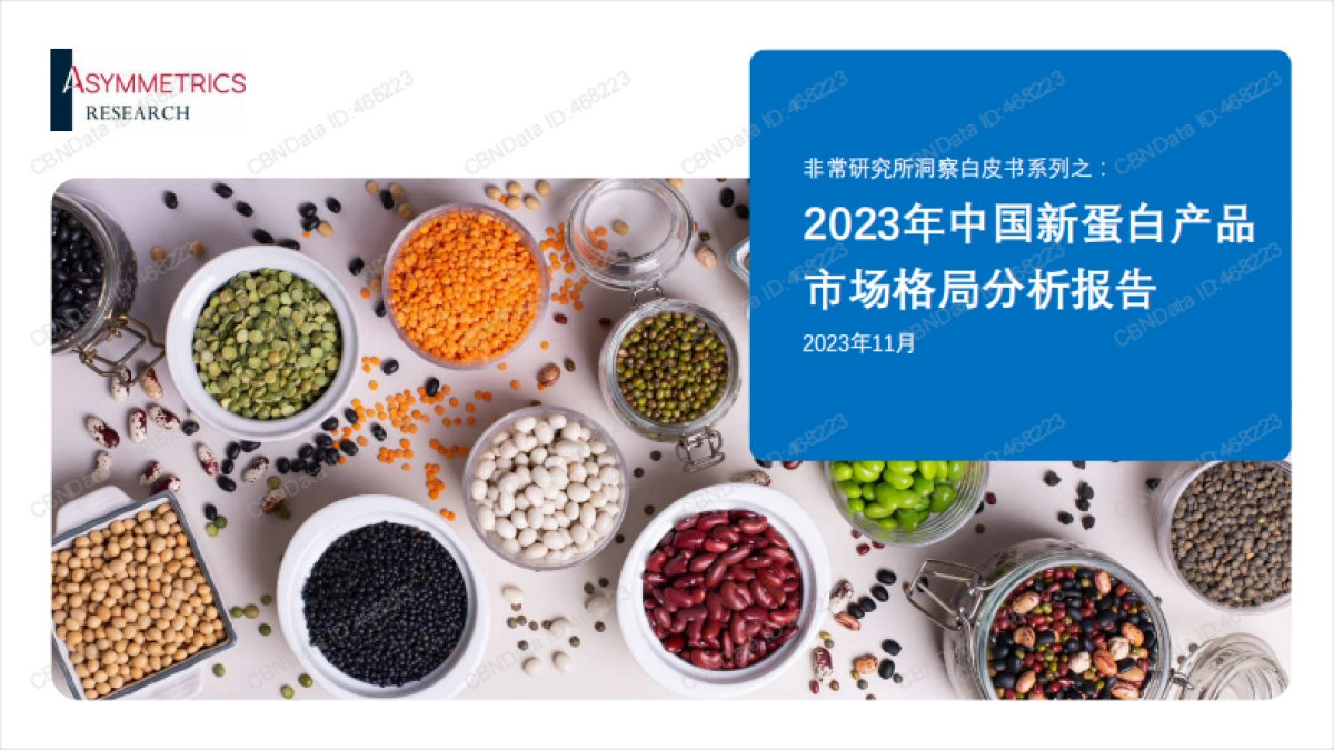 2023年中国新蛋白产品市场格局分析报告-30页_第1页