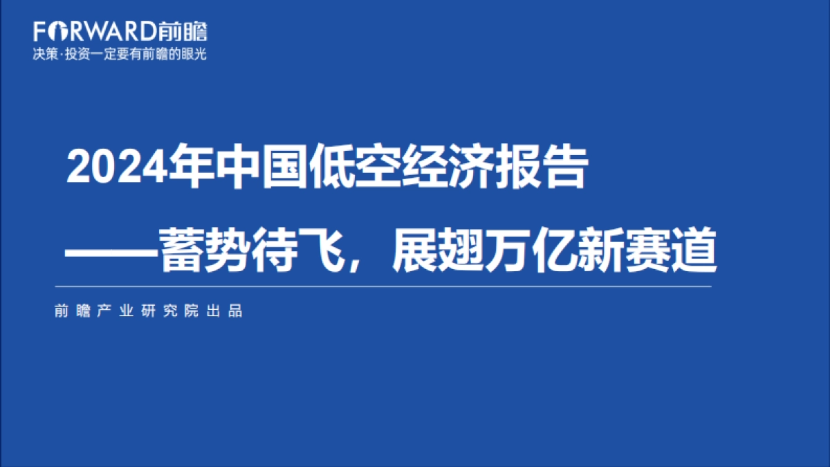2024年中国低空经济报告：蓄势待飞，展翅万亿新赛道_第1页