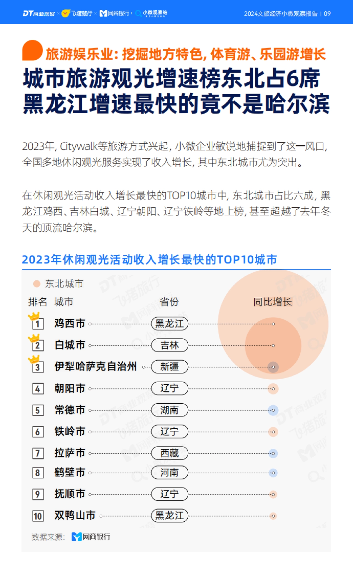 2024文旅经济小微观察报告_第10页