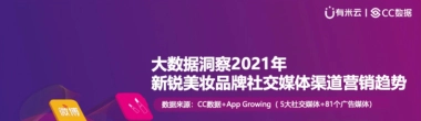 CC数据2021年新锐美妆品牌社交渠道媒体营销趋势38页
