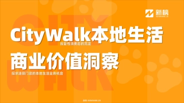 CityWalk本地生活商业价值洞察报告-31页