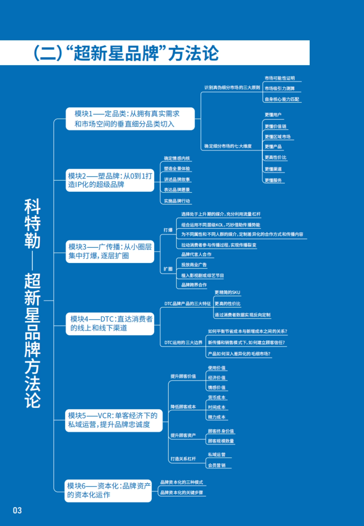 DTC方法论品牌研究-超新星白皮书_第8页