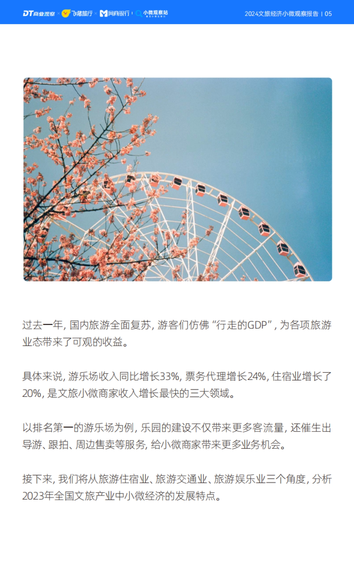 DT商业观察：2024文旅经济小微观察报告_第6页