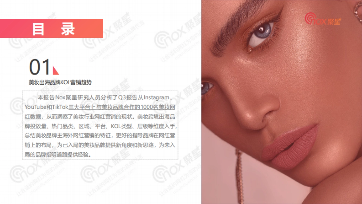 Nox聚星：2022年Q3美妆出海品牌KOL营销洞察报告_第5页