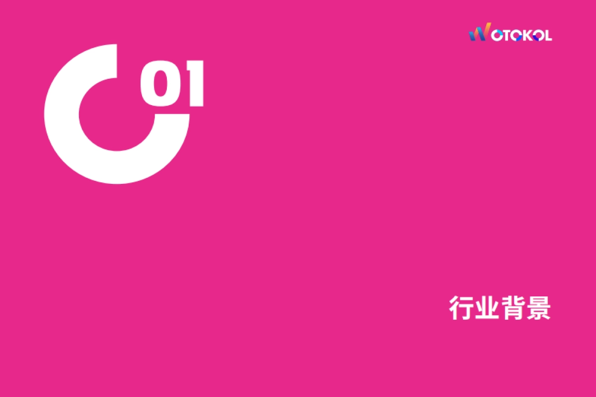 WOTOKOL：2022海外网红营销白皮书_第7页