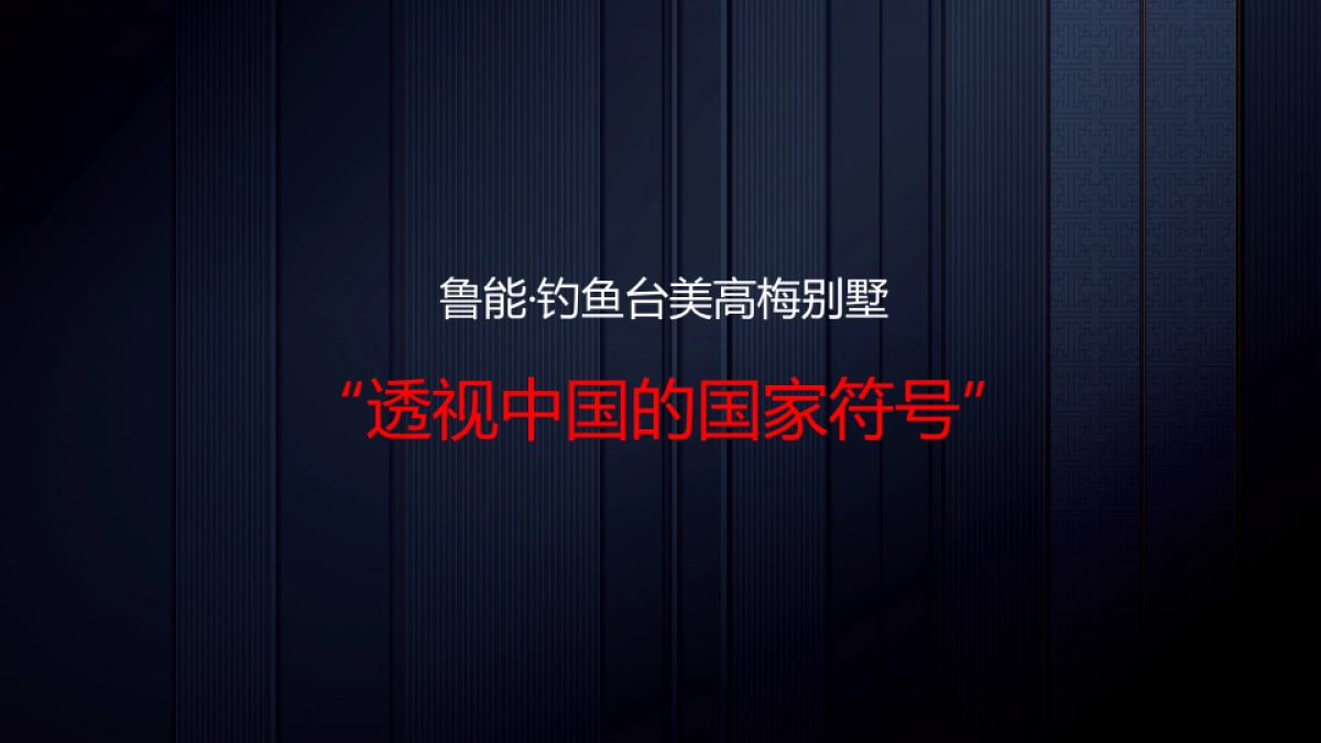 北京大都会广告-鲁美年国家符号报告_第5页