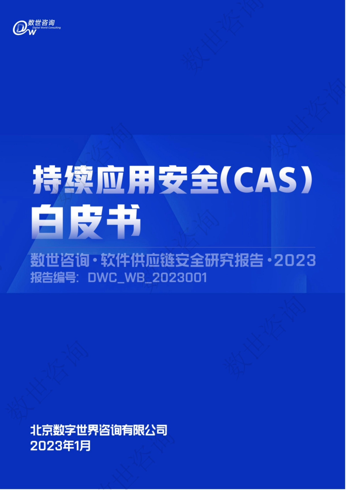 持续应用安全(CAS)白皮书-数世咨询-43页_第1页