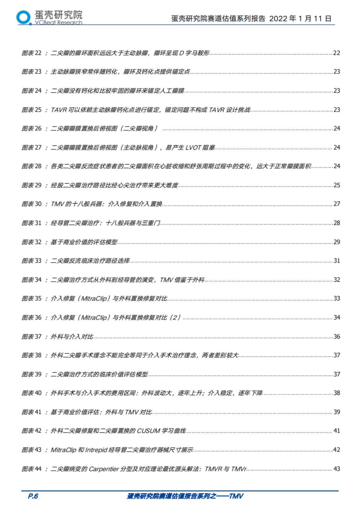 蛋壳研究院赛道估值报告系列之TMV（经导管二尖瓣器械）-蛋壳研究院-110页_第6页