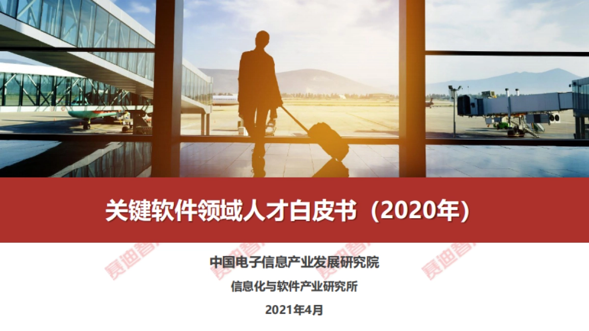 关键软件领域人才白皮书（2020年）_第1页