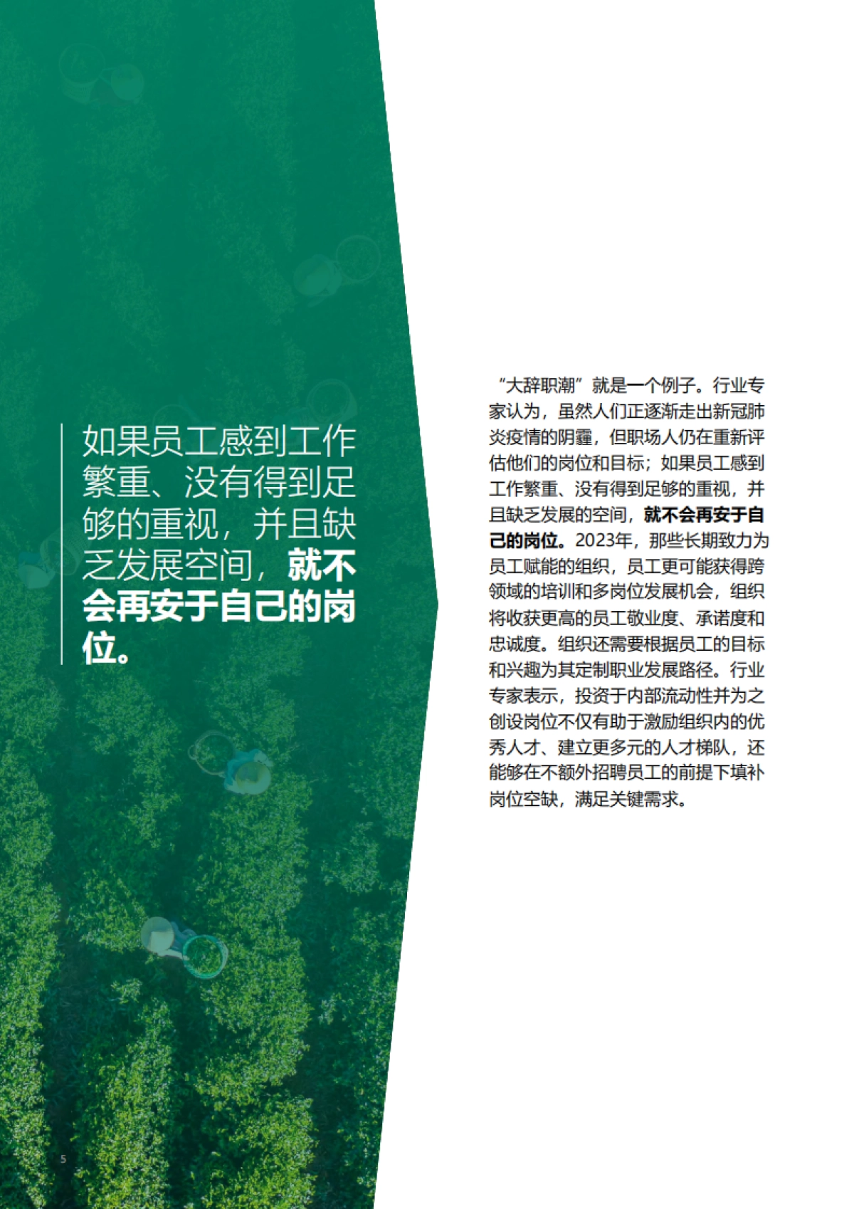 光辉国际：2023全球人才招聘趋势报告_第5页