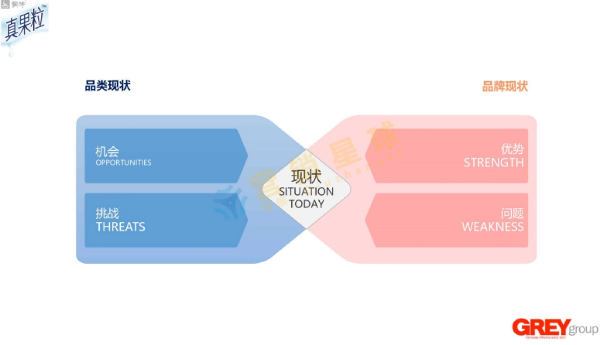 国际4A精信-真果粒2017年策略_第2页