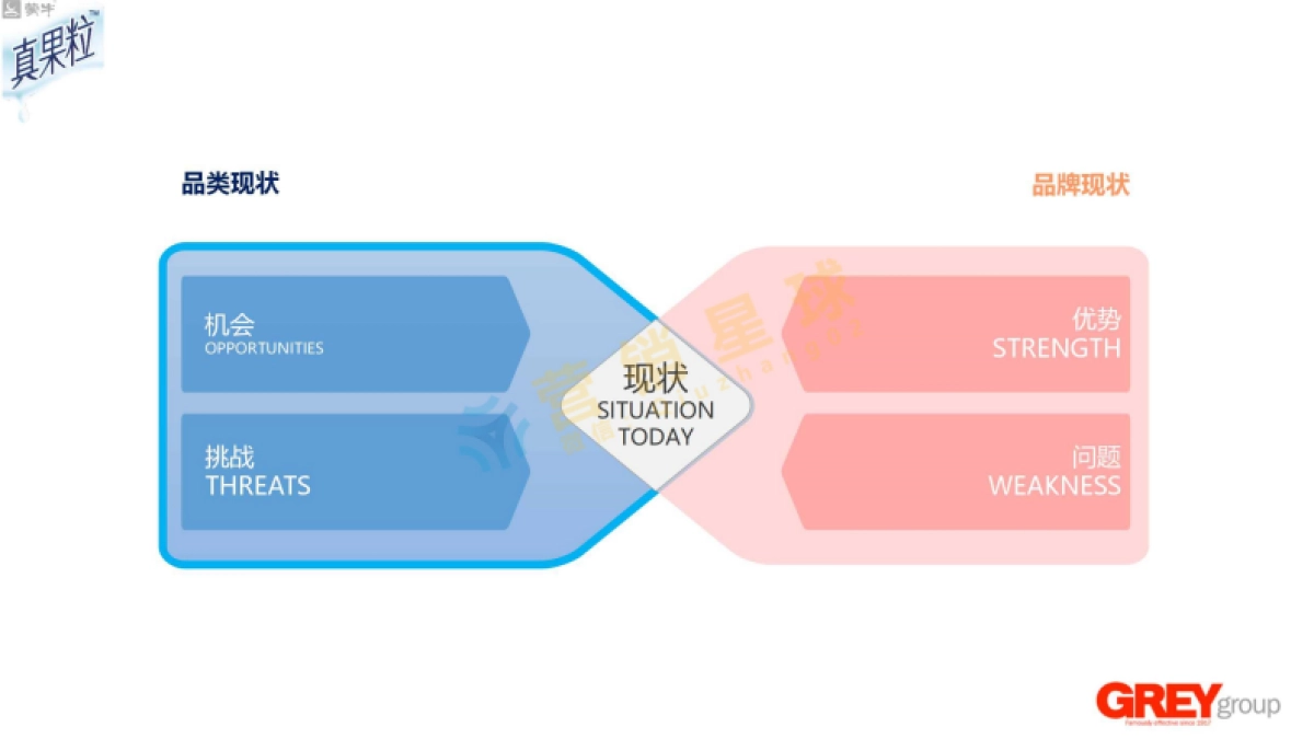 国际4A精信-真果粒2017年策略_第3页