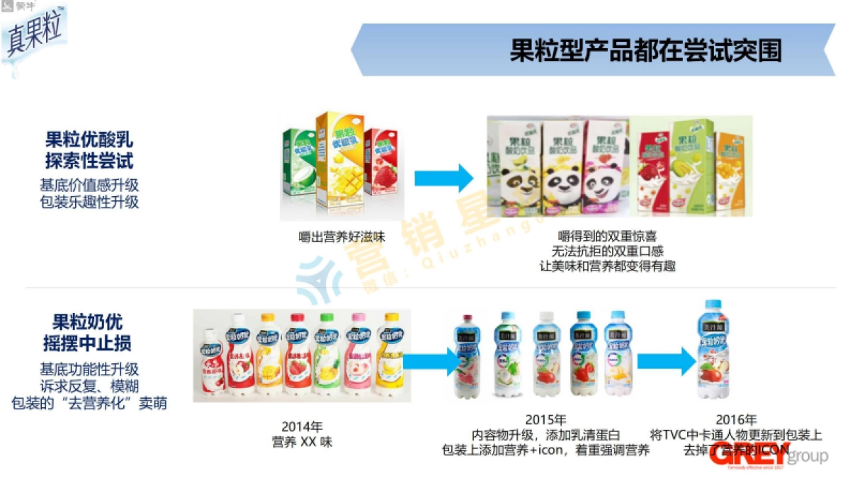 国际4A精信-真果粒2017年策略_第7页