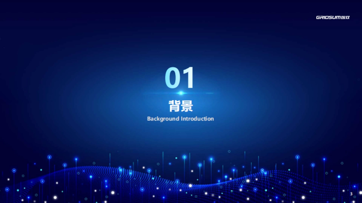 国双数据：2023年中国全域广告异常流量白皮书_第3页