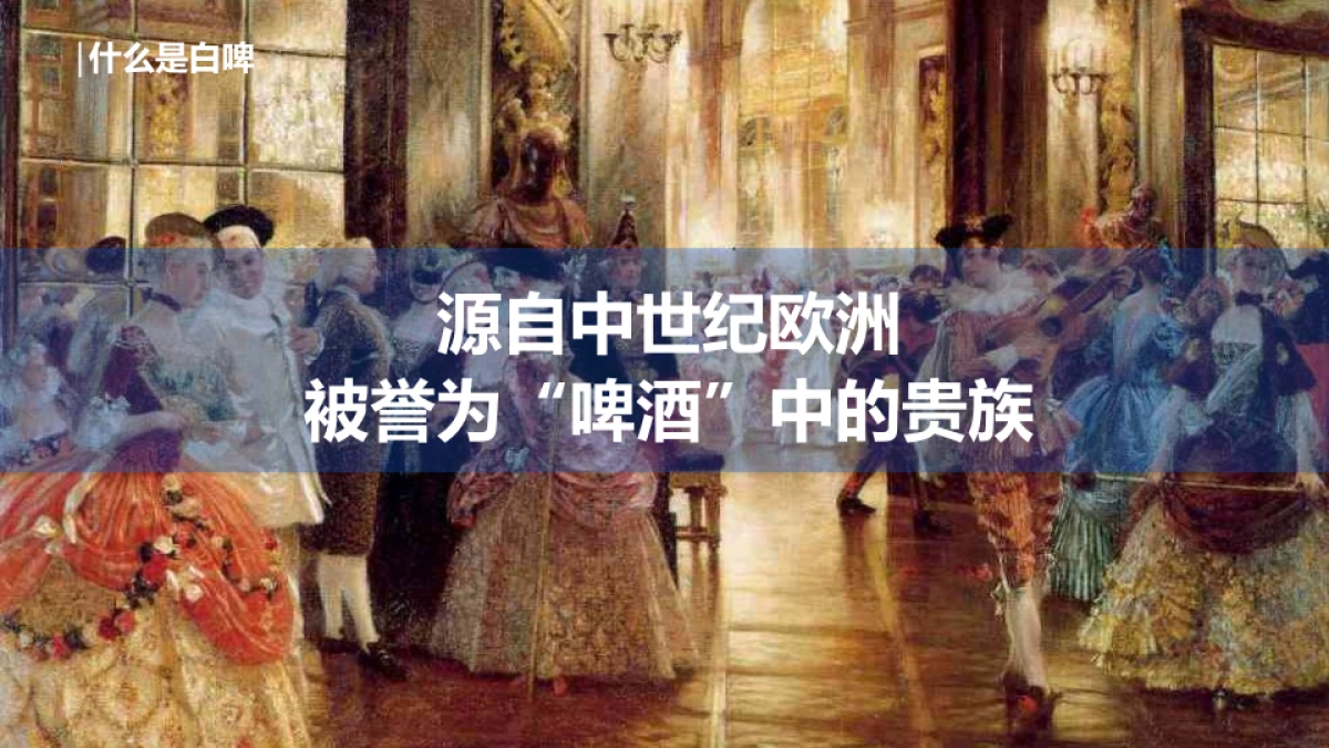 哈尔滨白啤巡游方案_第6页