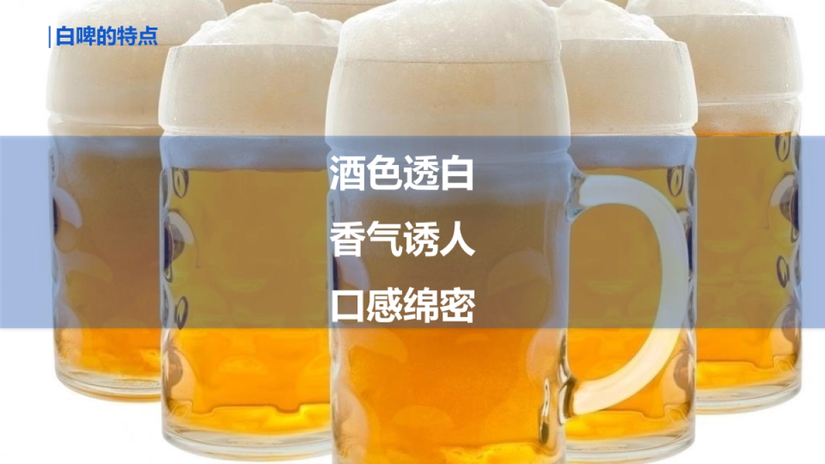 哈尔滨白啤巡游方案_第7页