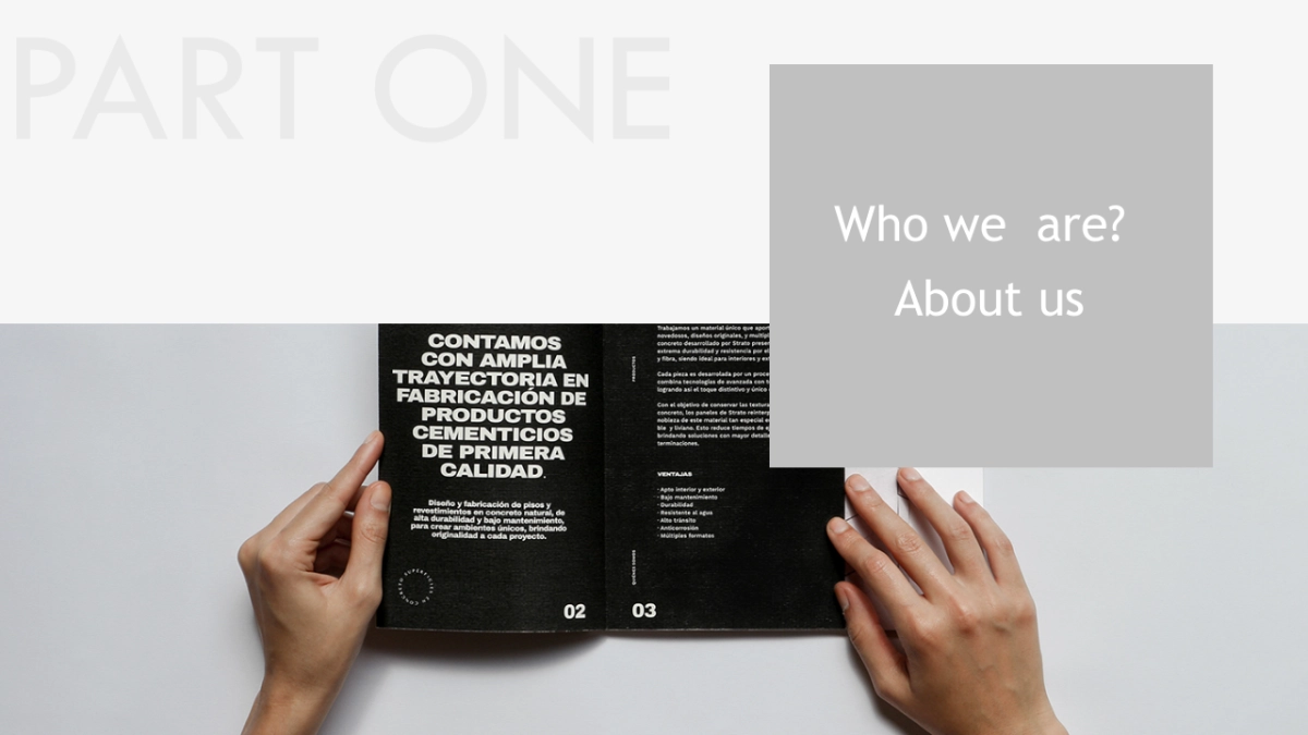 汉艺网推介方案_第3页