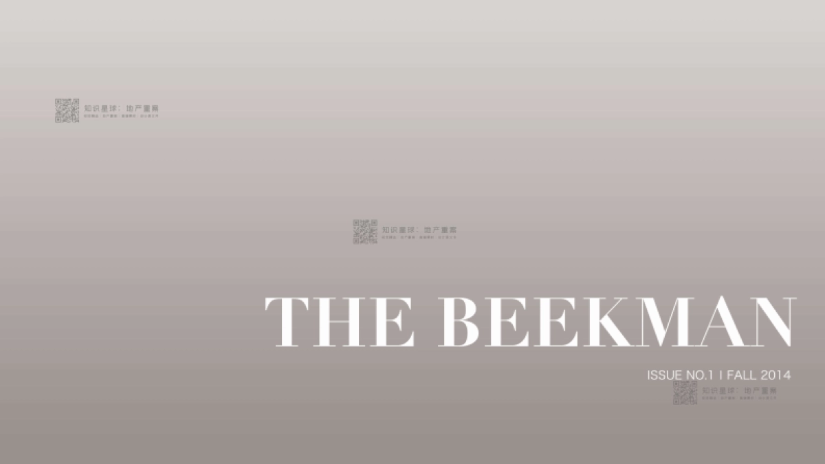 豪宅专家创邑-上海外滩绿城黄浦湾提报方案_第6页