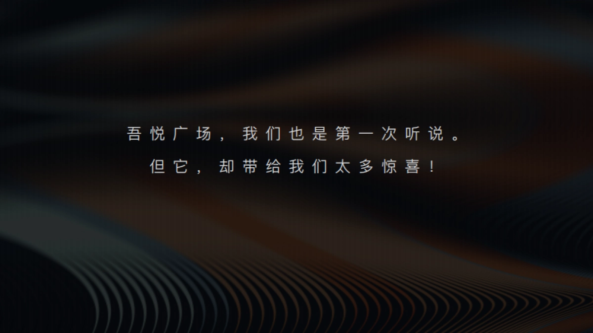 和田机构-新城控股吾悦广场策略_第5页