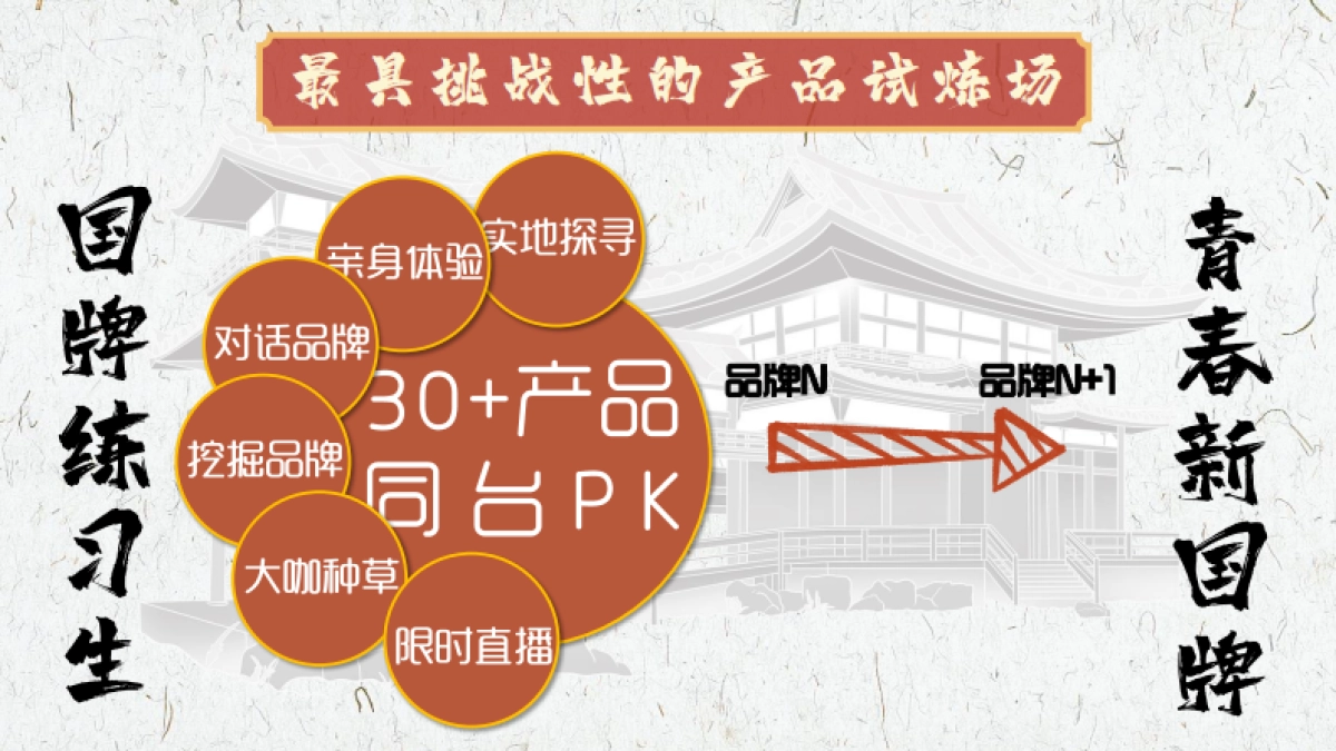 黑蟾猫《国牌研究院》合作推荐案_第9页