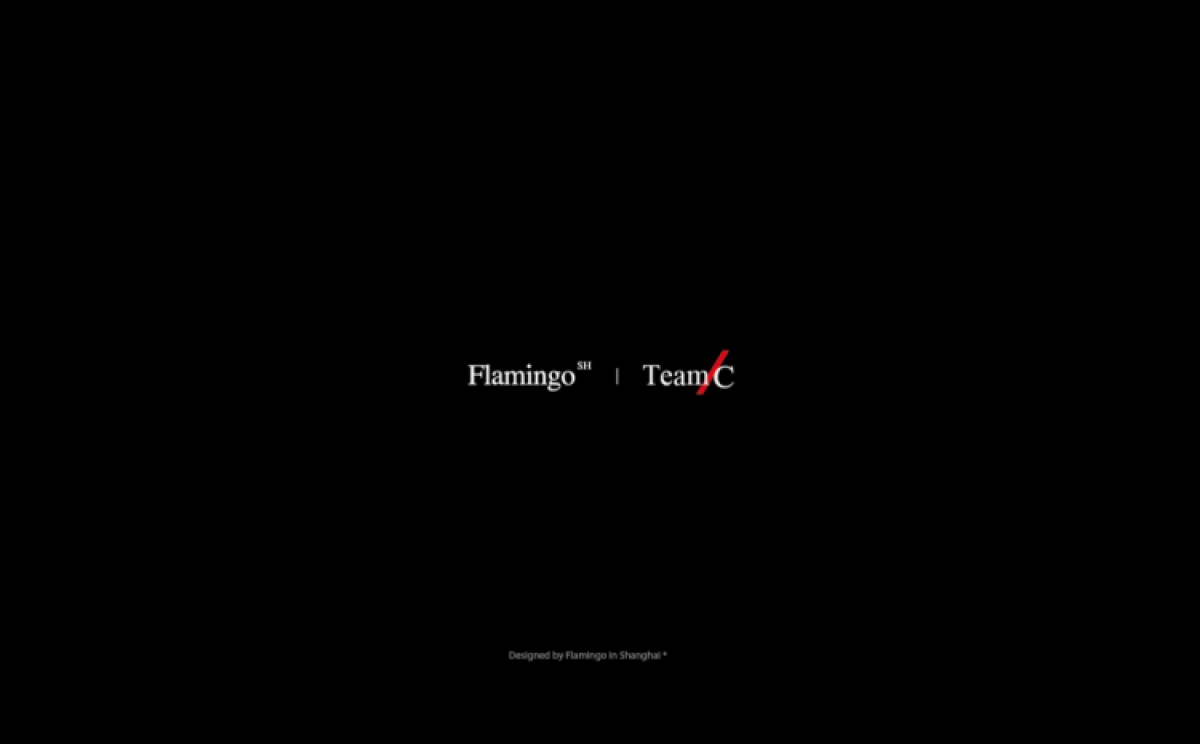 红鹤沟通-北大资源颐和翡翠首期形象构建方案 _第2页