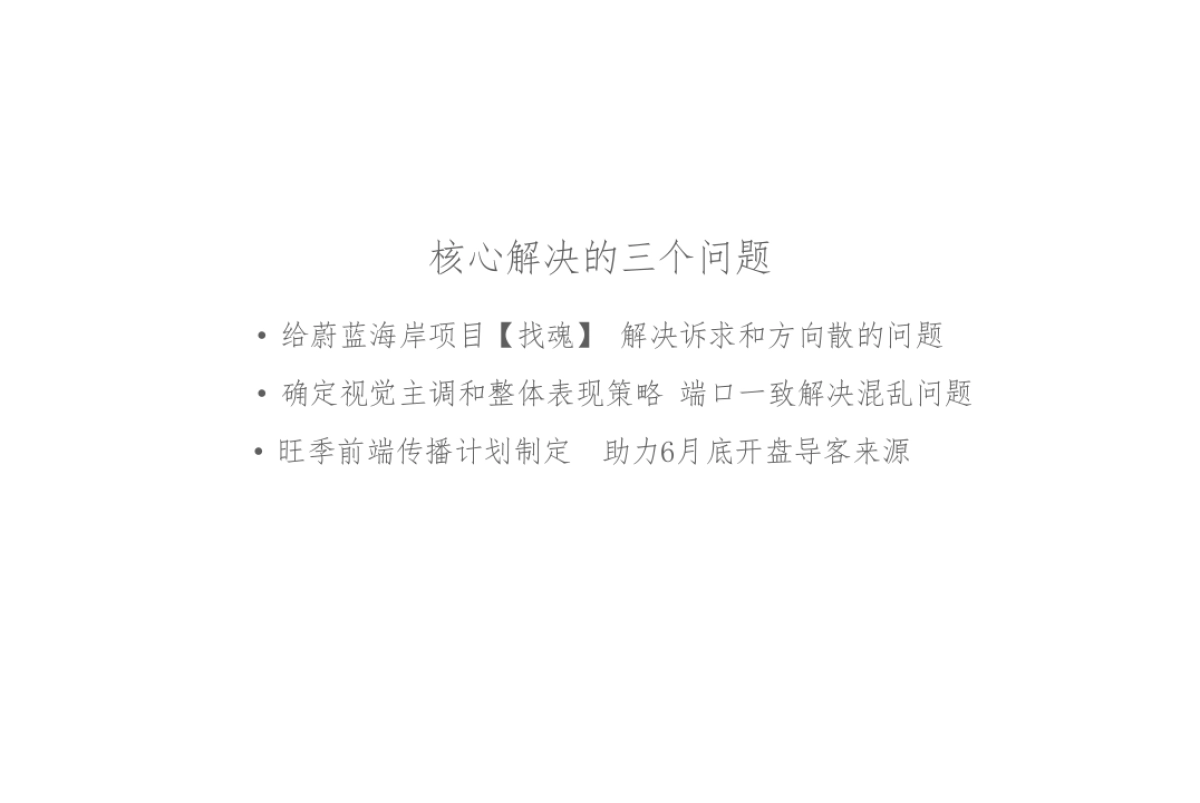 红鹤集团-SEATOPIA蔚蓝海岸形象定位报告_第3页